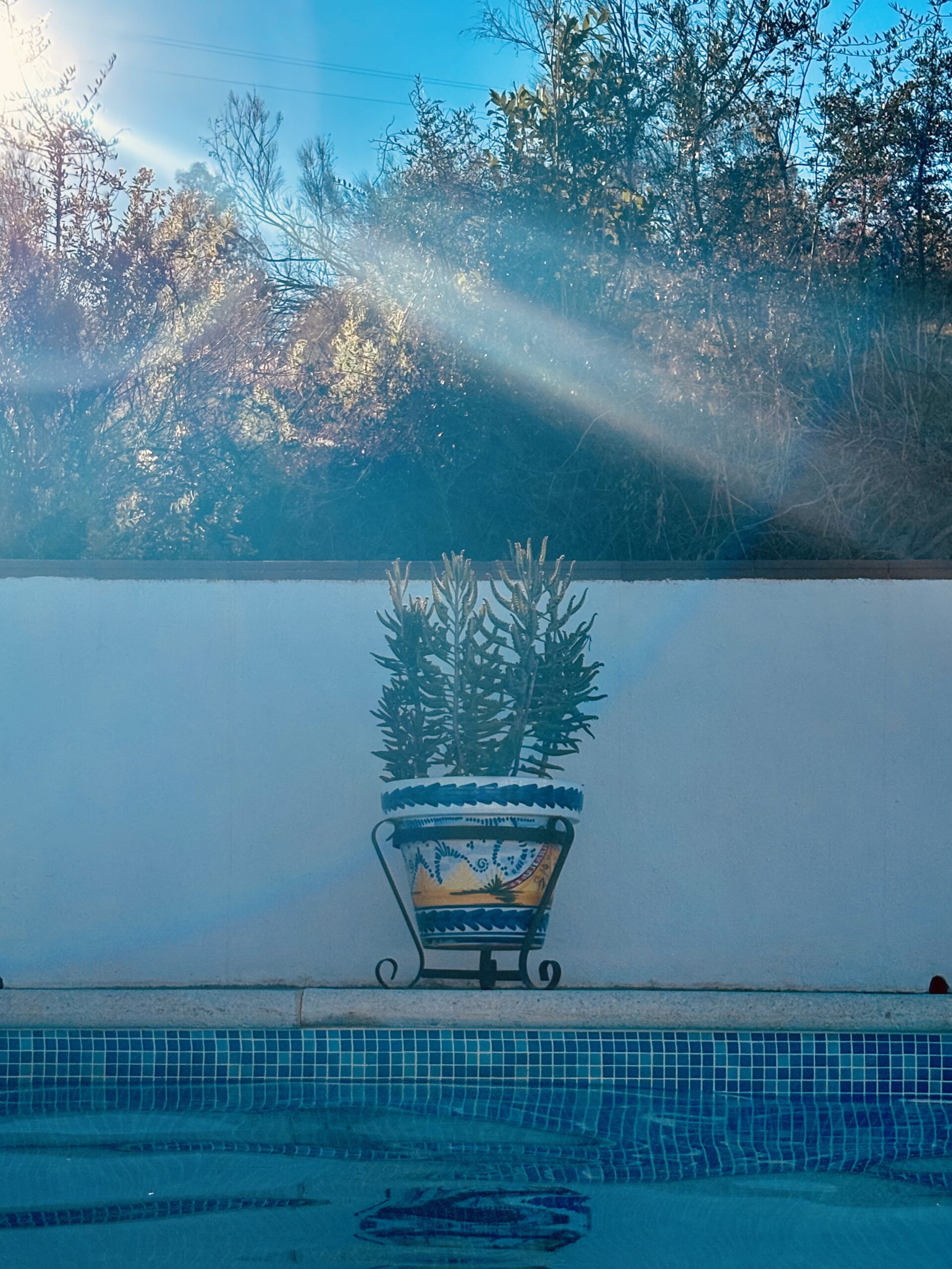 The villa img 2903 2