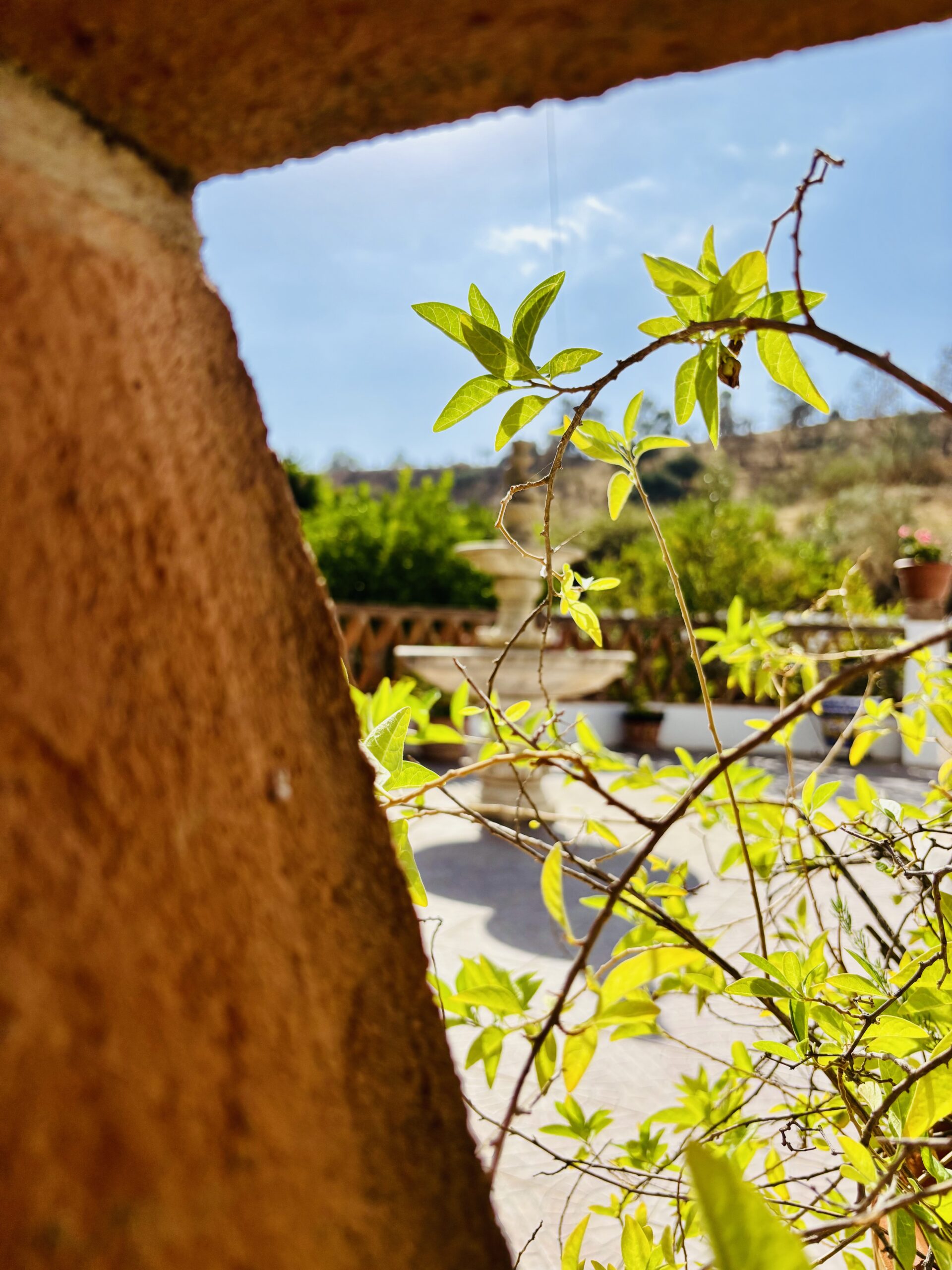 The villa img 2729 2